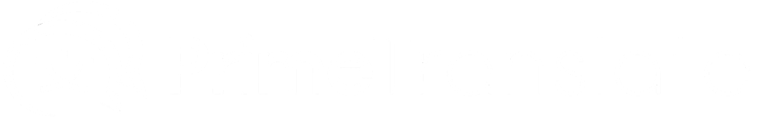 PrimeTranslate